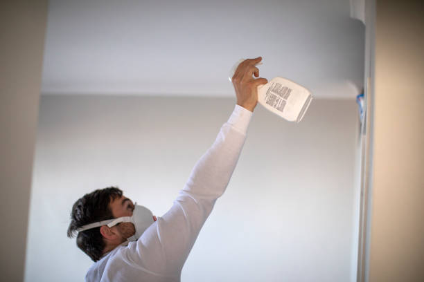Best Mold Testing and Inspection Services in Winter Springs, FL